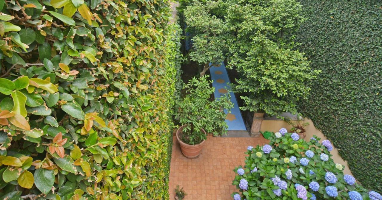 B&B Di Charme Camelie Palazzo Nicotra Riposto Ngoại thất bức ảnh